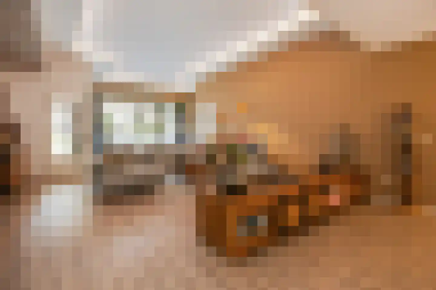 Banier 8 a Boxtel thumbnail 7