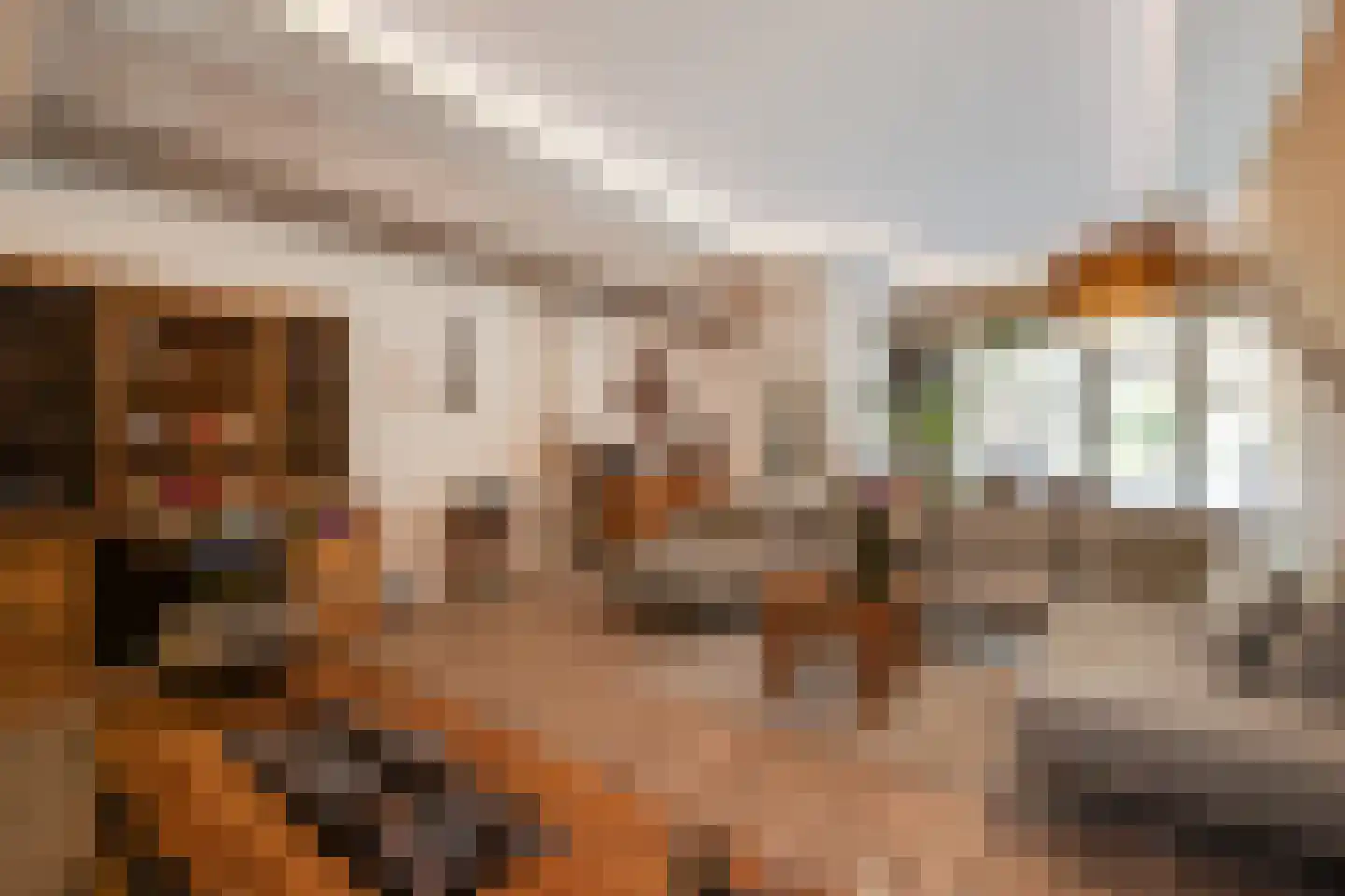 Banier 8 a Boxtel thumbnail 8