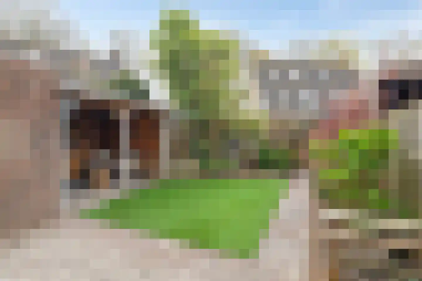 Banierstraat 14 Loon op Zand thumbnail 25