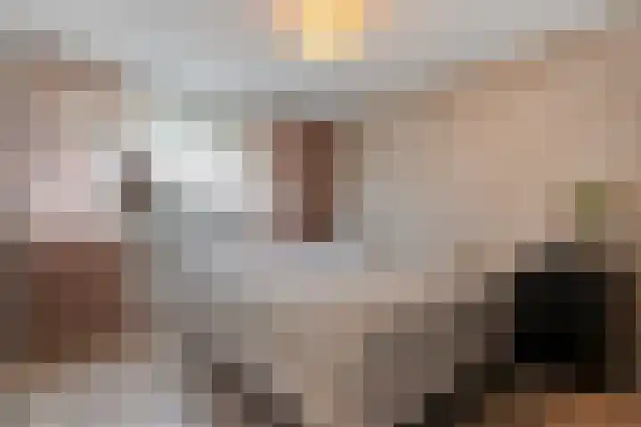 Baniersweg 12 Almelo thumbnail 16