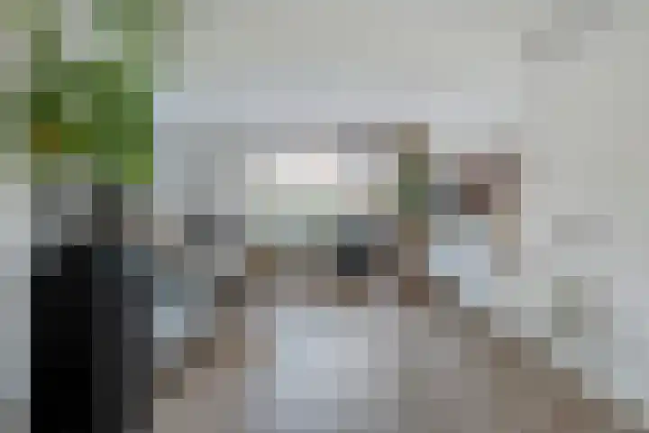 Baniersweg 12 Almelo thumbnail 7