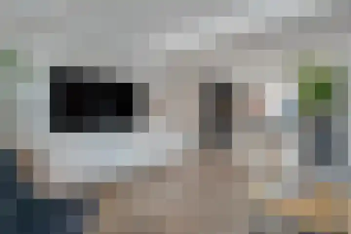 Baniersweg 12 Almelo thumbnail 8