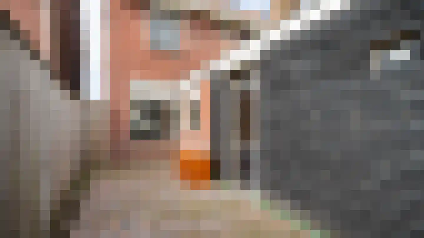 Baniersweg 15 Almelo thumbnail 22