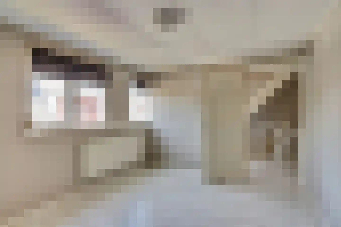 Baniersweg 3 Almelo thumbnail 19
