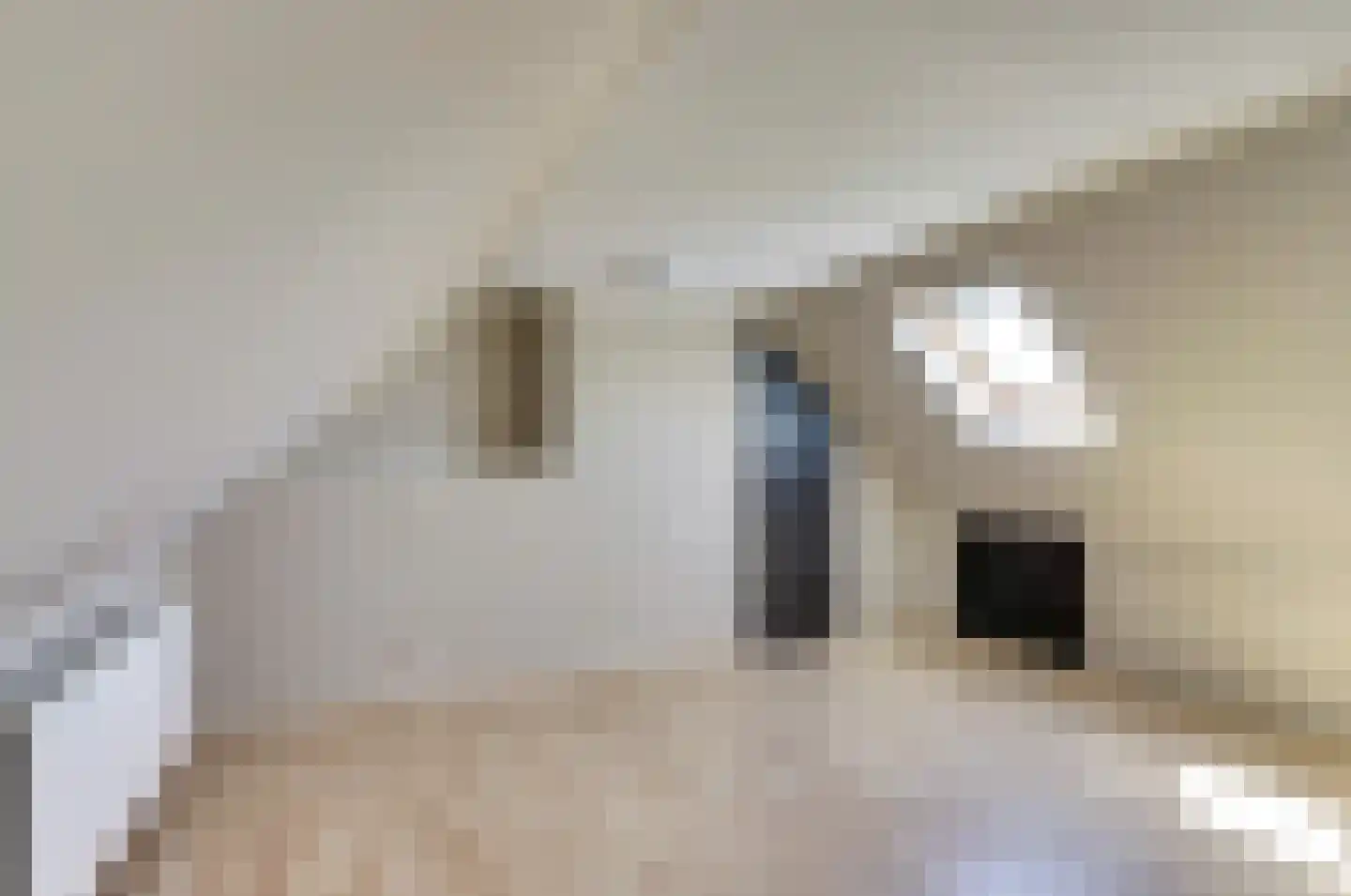 Baniersweg 3 Almelo thumbnail 27