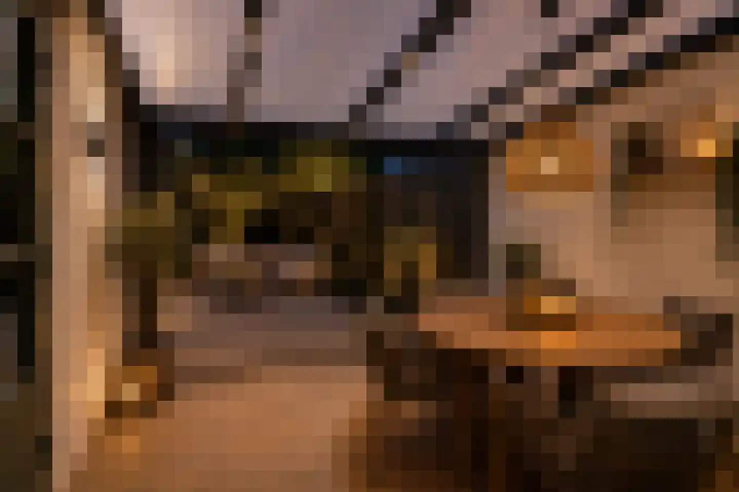 Baniersweg 3 Almelo thumbnail 4