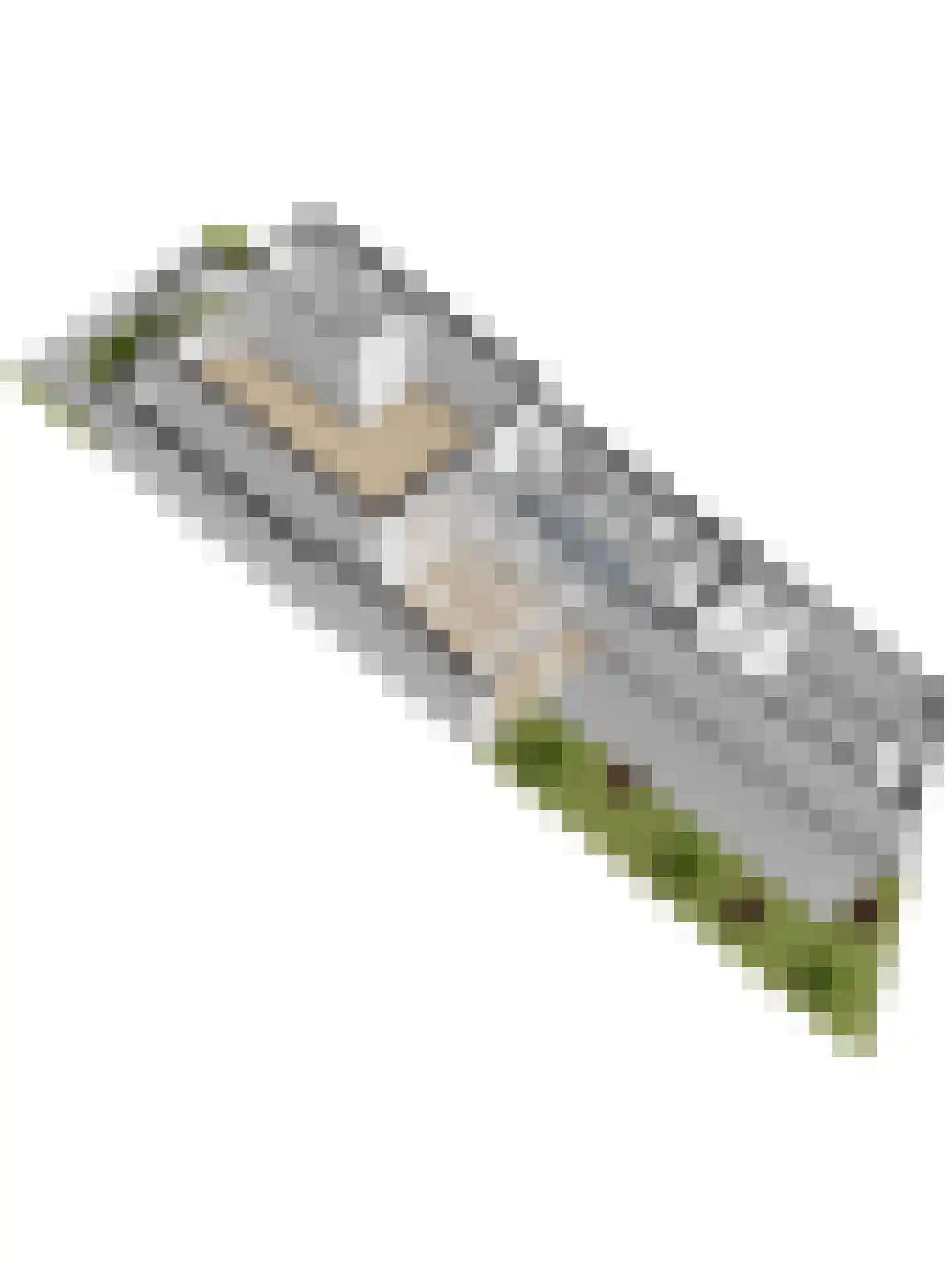 Baniersweg 3 Almelo thumbnail 41