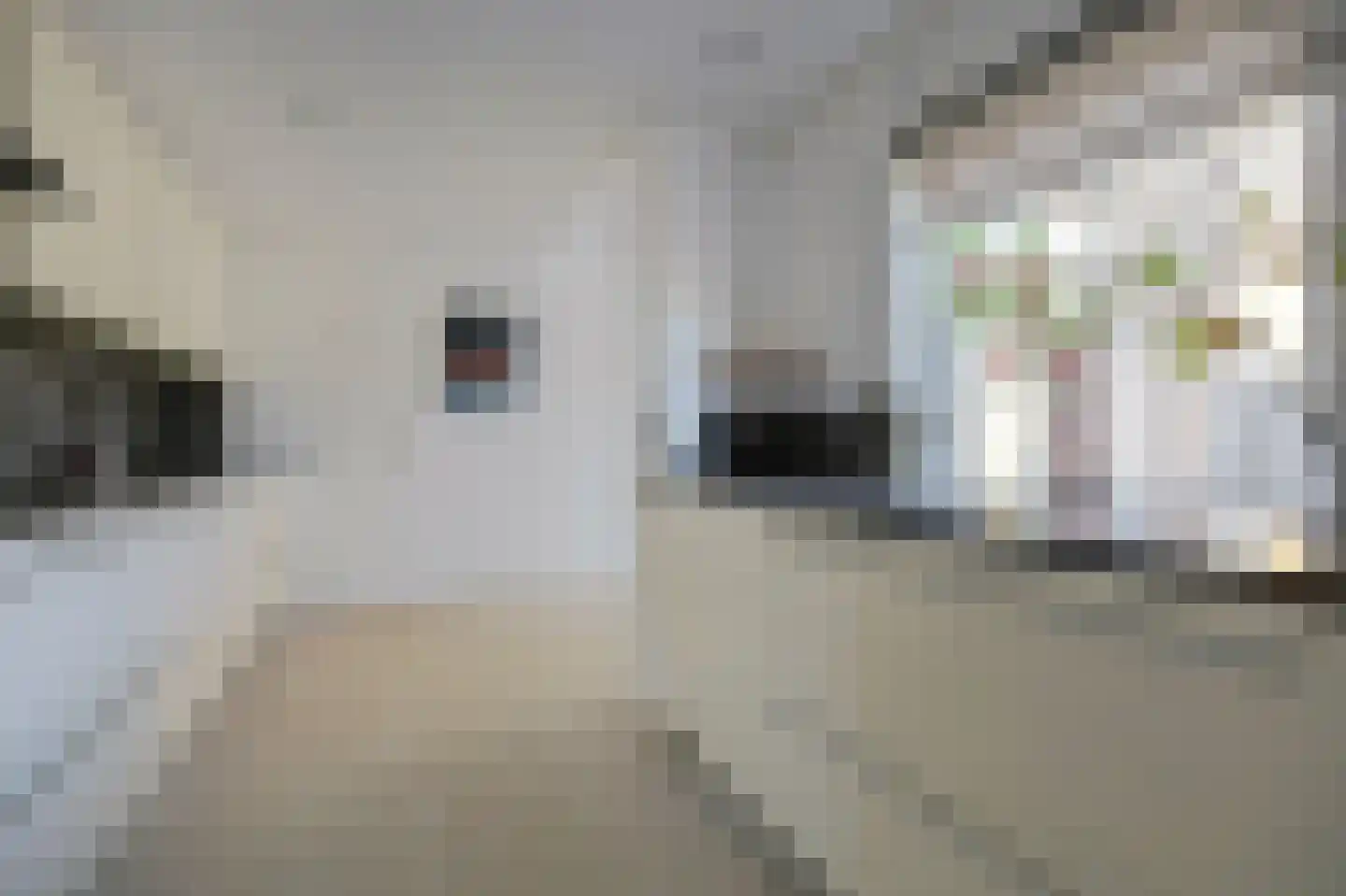 Banjaard 17 Arnemuiden thumbnail 22