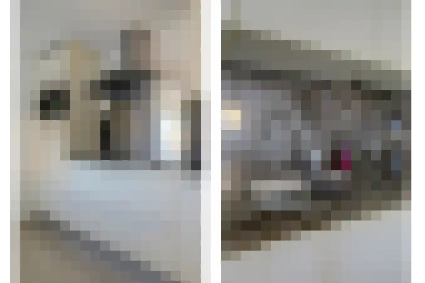 Banjaard 17 Arnemuiden thumbnail 23