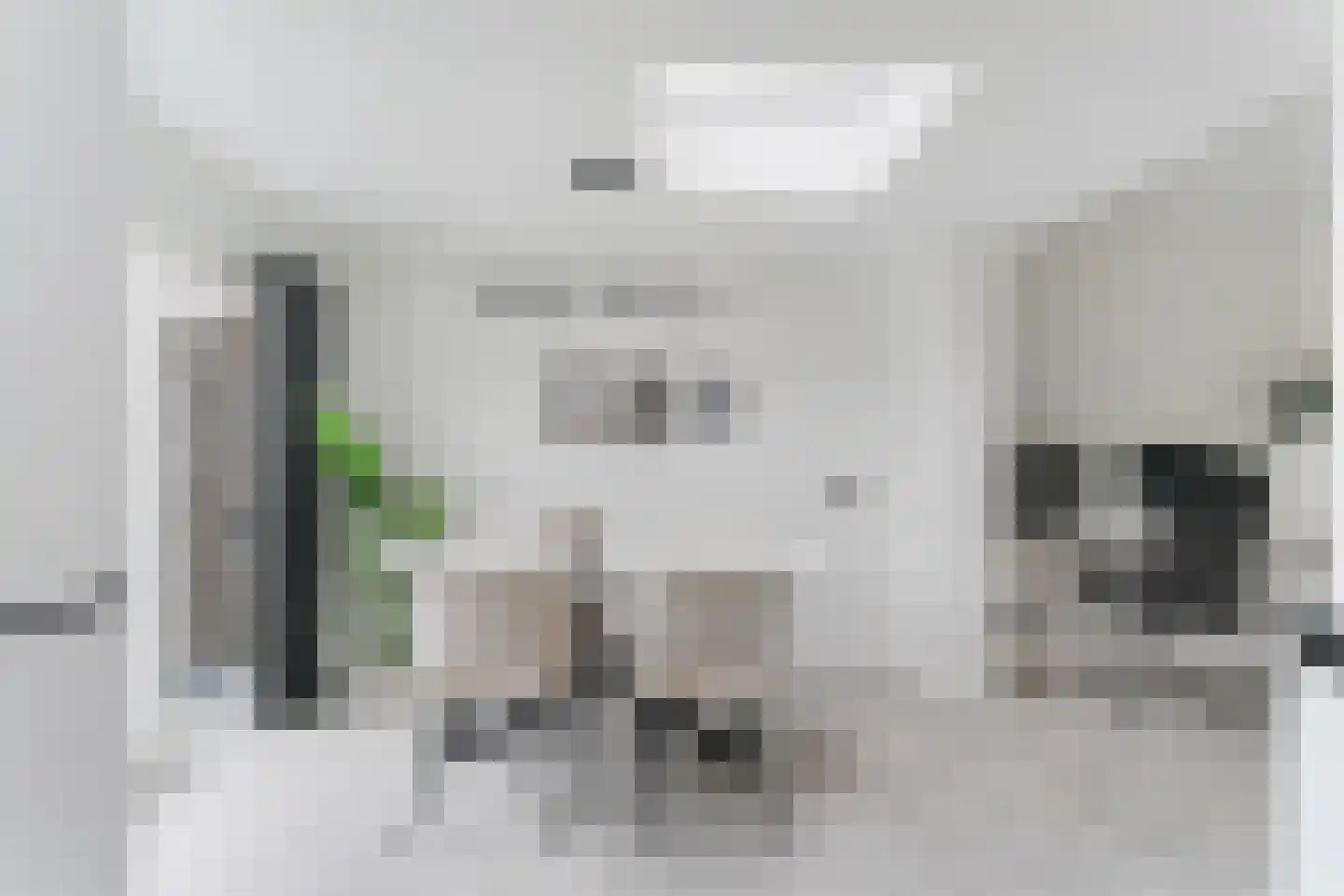 Banjaardstraat 29 Lewedorp thumbnail 12
