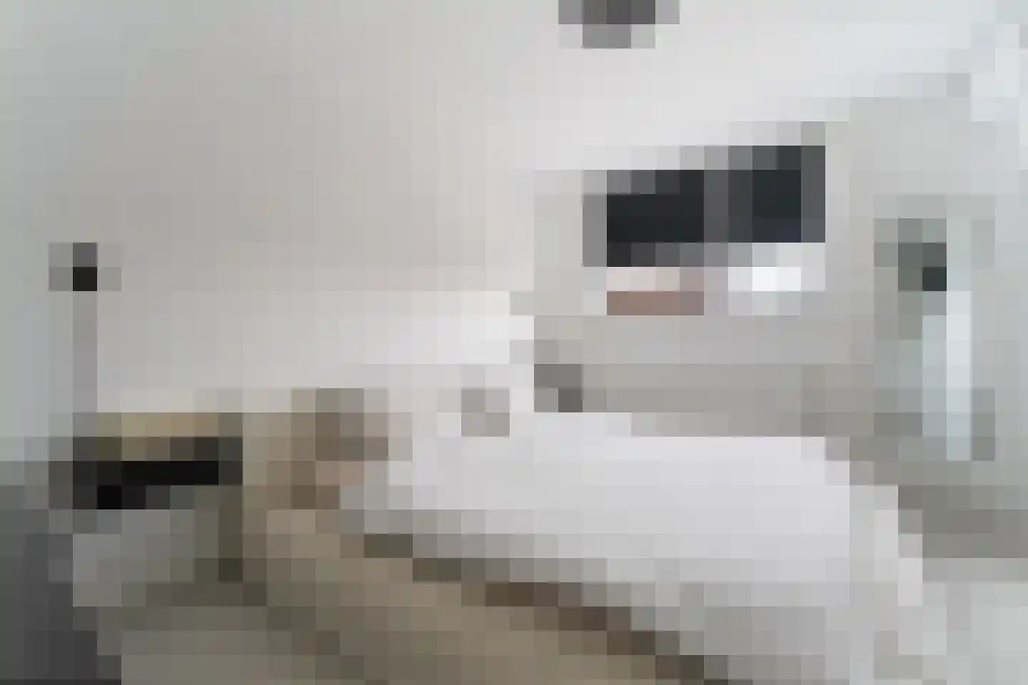 Banjaardstraat 29 Lewedorp thumbnail 15