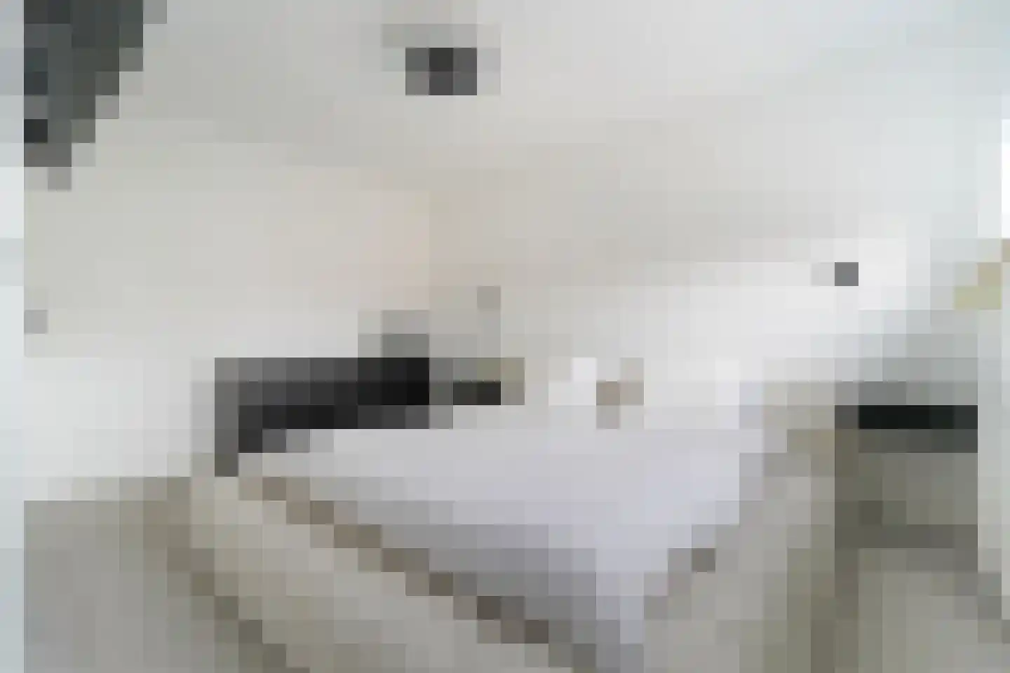 Banjaardstraat 29 Lewedorp thumbnail 16
