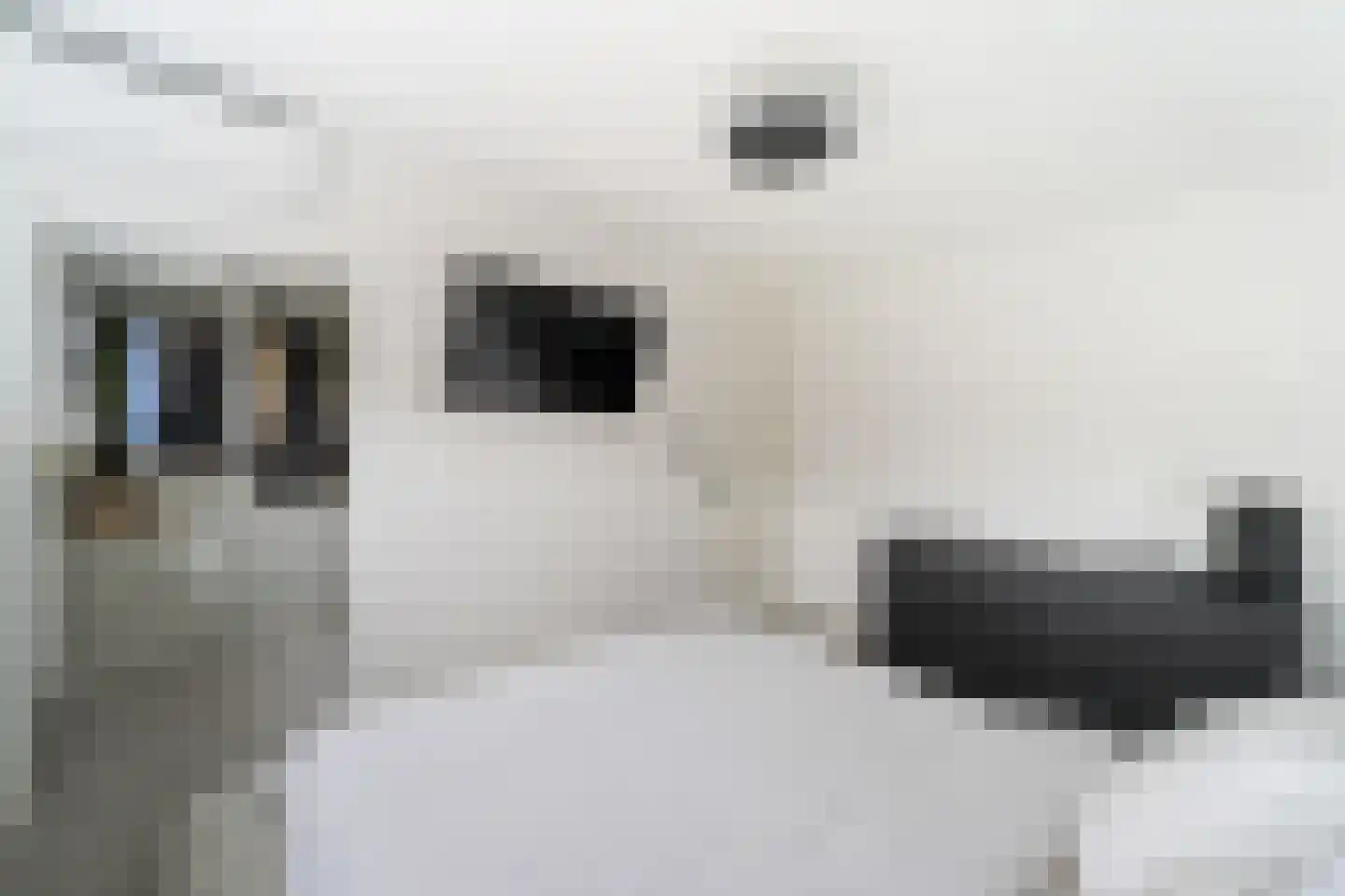 Banjaardstraat 29 Lewedorp thumbnail 17