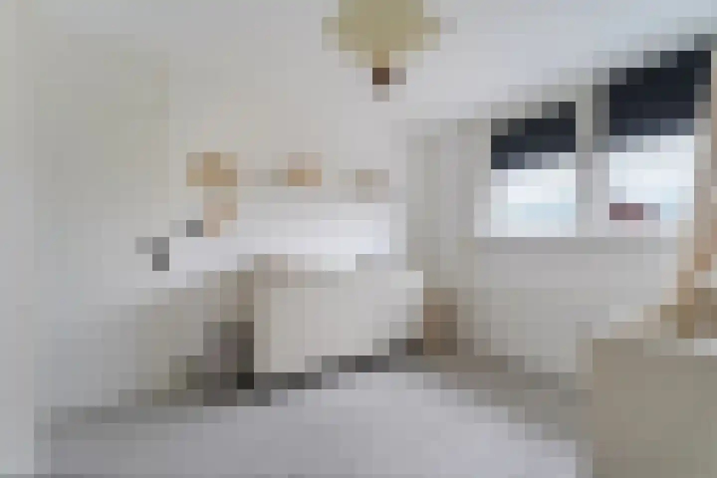 Banjaardstraat 29 Lewedorp thumbnail 20