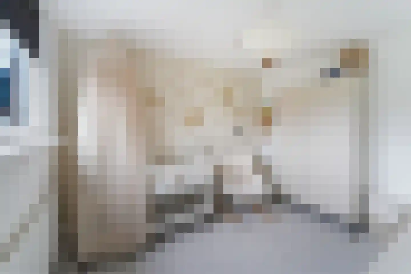 Banjaardstraat 29 Lewedorp thumbnail 21