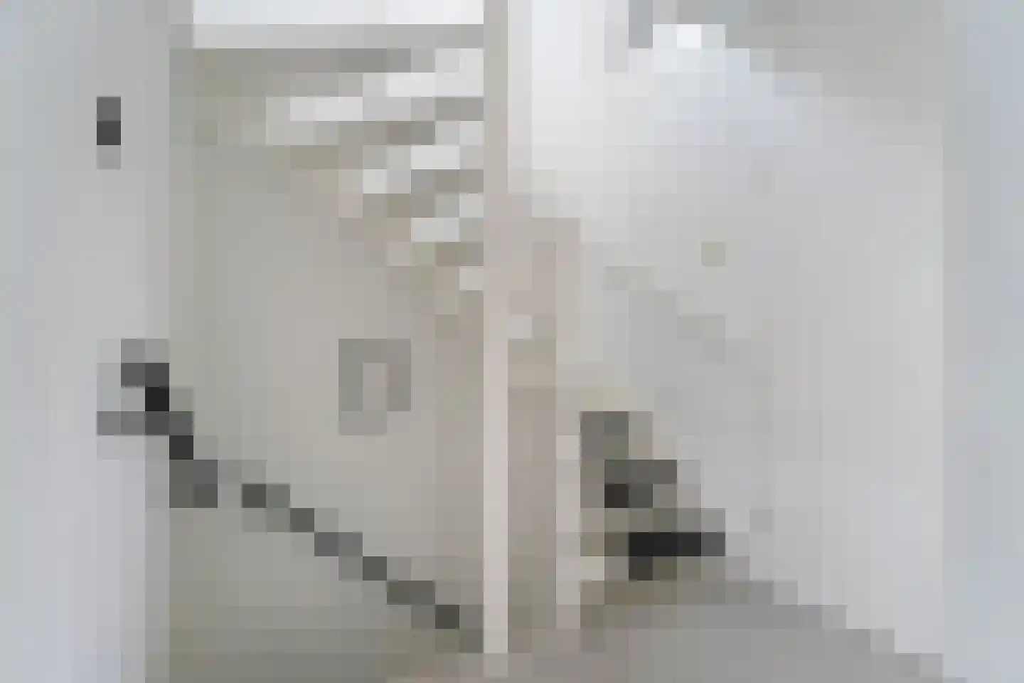 Banjaardstraat 29 Lewedorp thumbnail 25