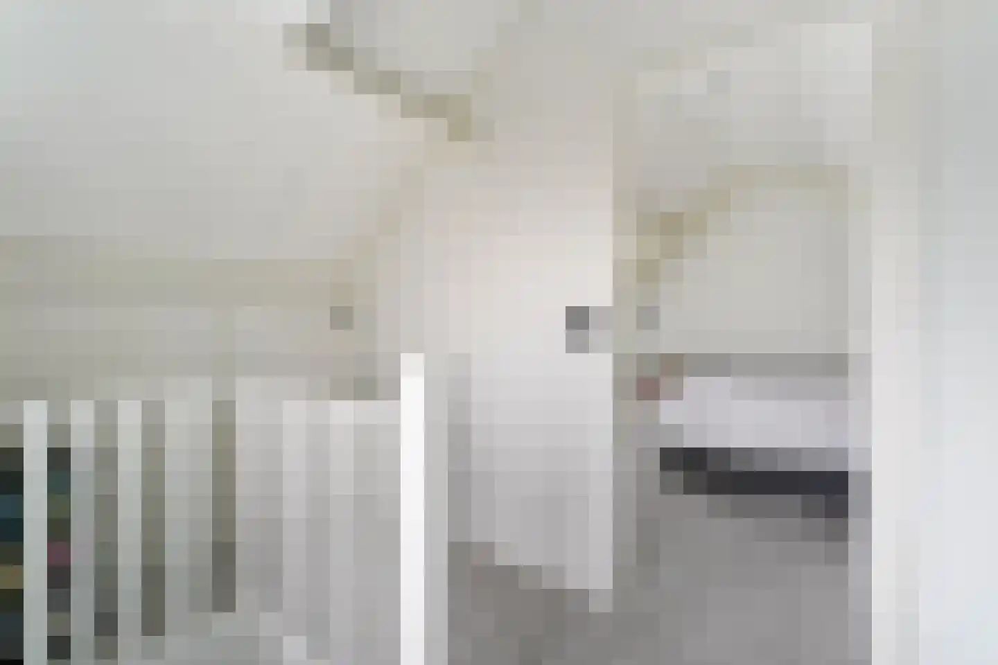 Banjaardstraat 29 Lewedorp thumbnail 27