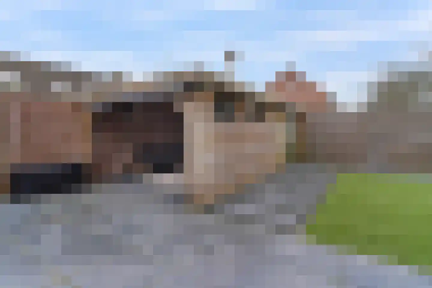 Banjaardstraat 29 Lewedorp thumbnail 31