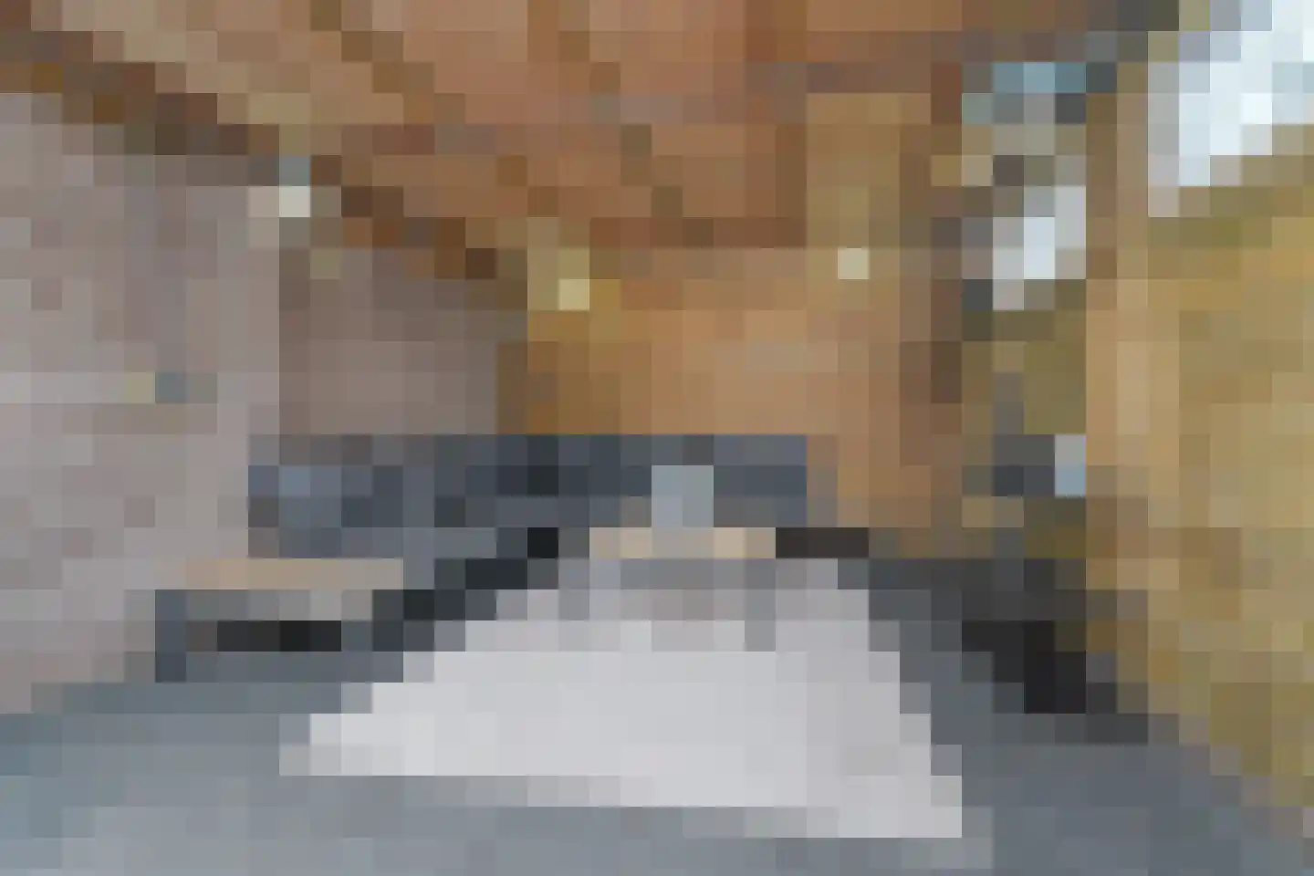 Banjaardstraat 29 Lewedorp thumbnail 32
