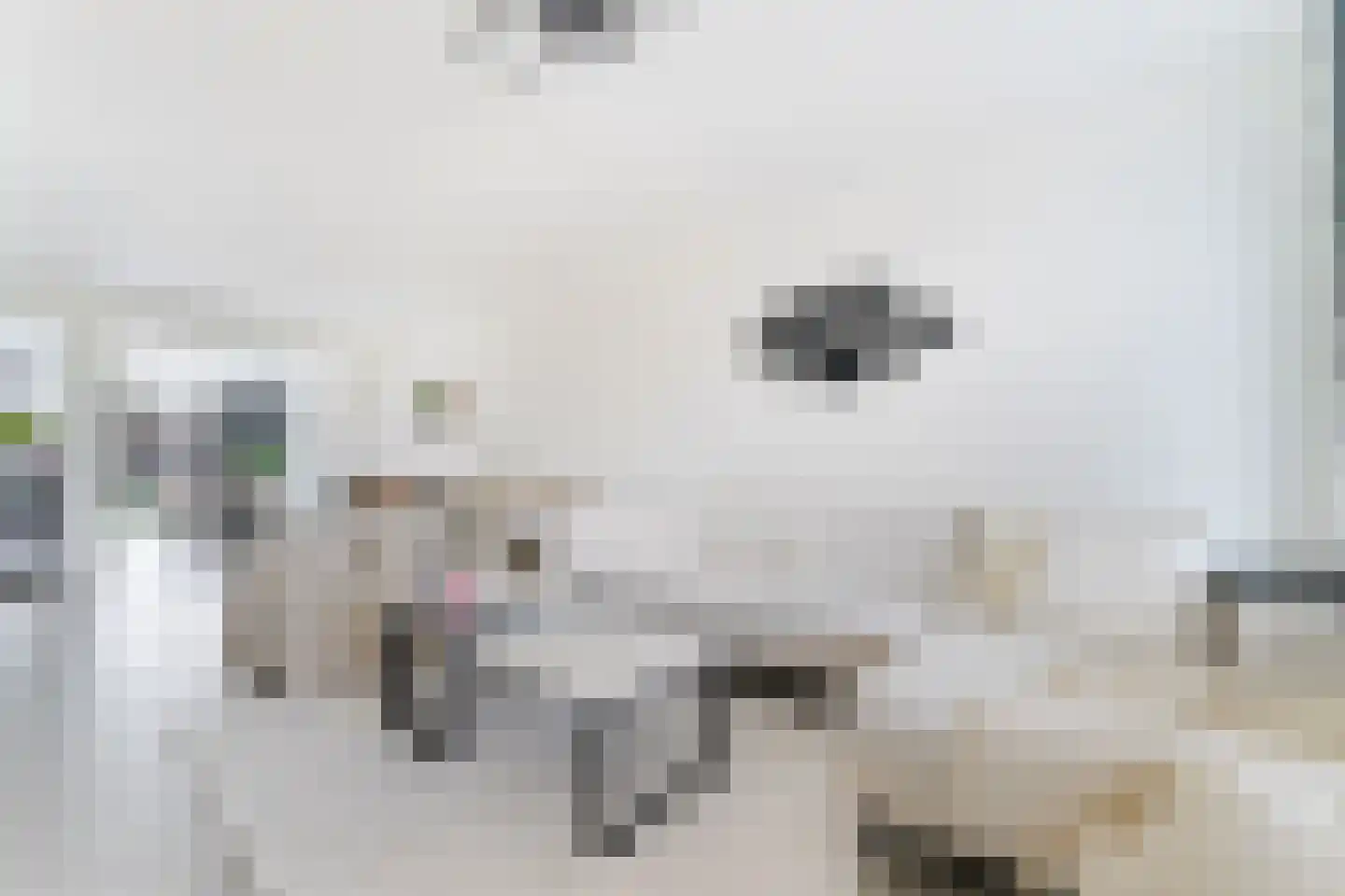 Banjaardstraat 29 Lewedorp thumbnail 8