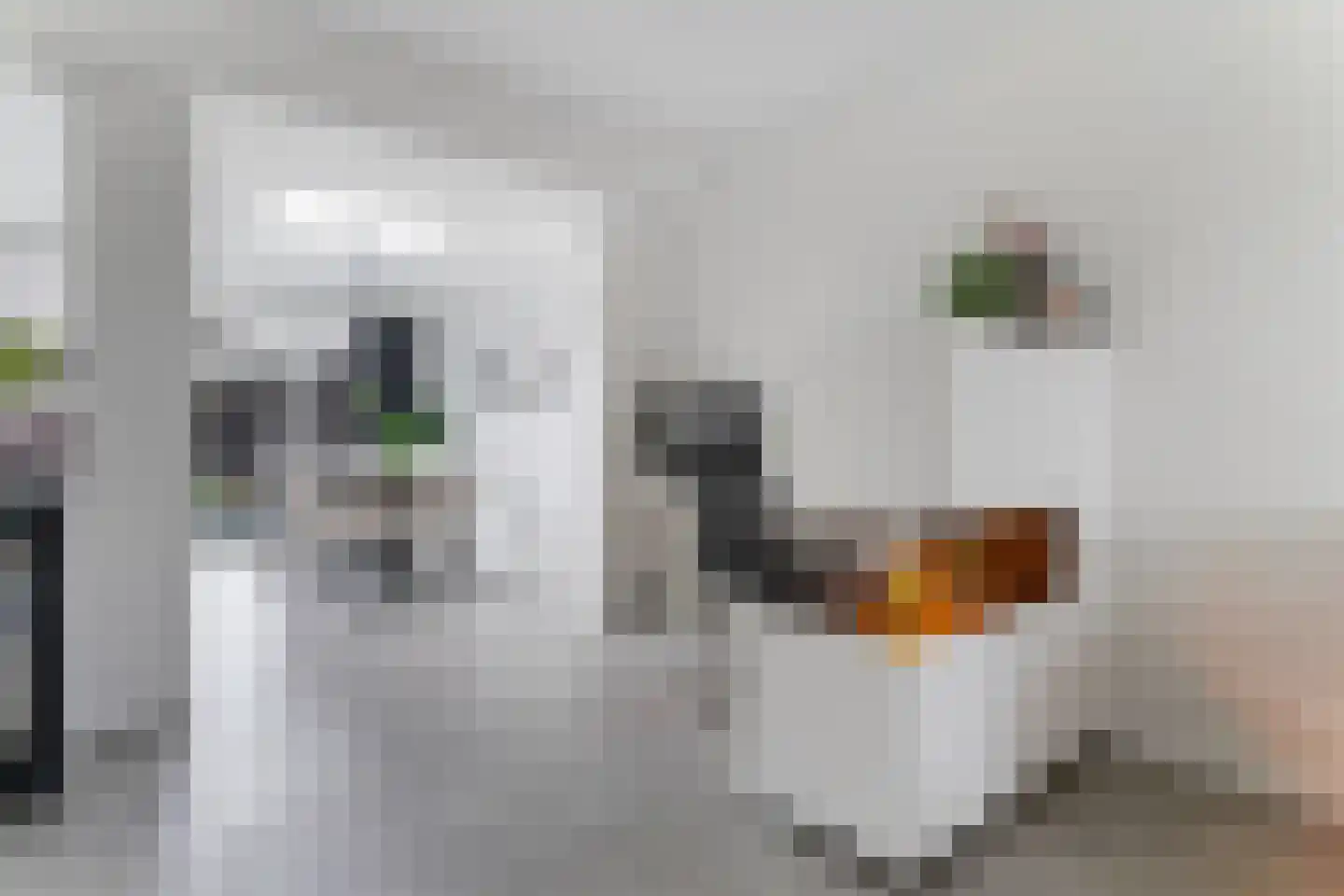 Banjaardstraat 29 Lewedorp thumbnail 9
