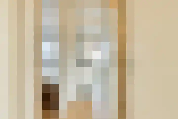 Banjaardstraat 88 Lewedorp thumbnail 30