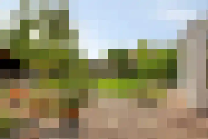 Banjaardstraat 88 Lewedorp thumbnail 31