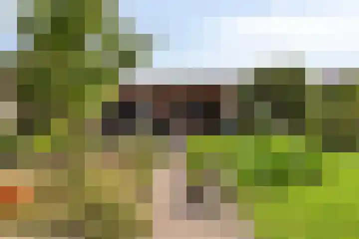 Banjaardstraat 88 Lewedorp thumbnail 32