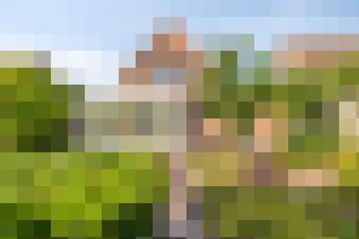 Banjaardstraat 88 Lewedorp thumbnail 35
