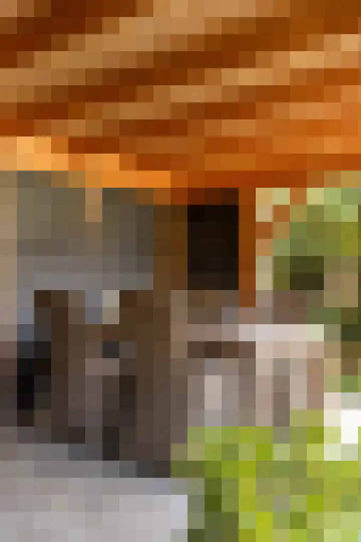 Banjaardstraat 88 Lewedorp thumbnail 40