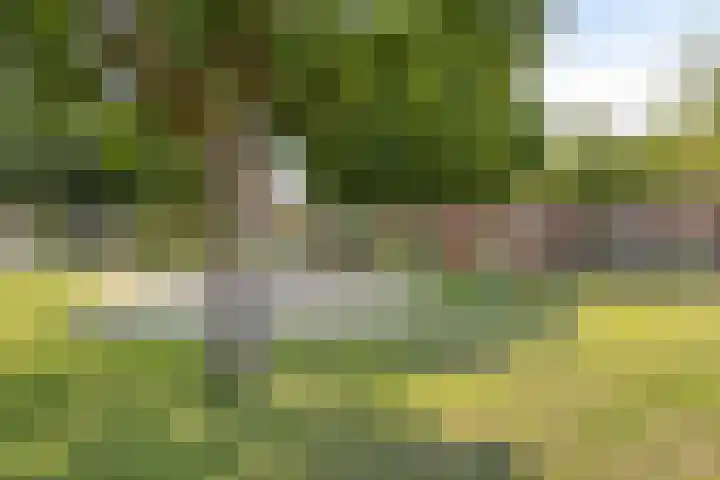 Banjaardstraat 88 Lewedorp thumbnail 41