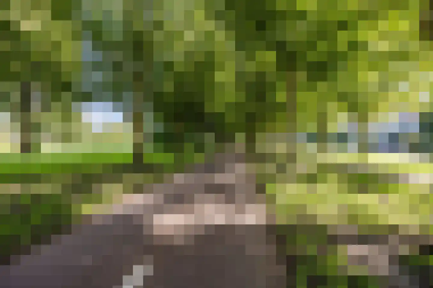 Banjohof 3 Barendrecht thumbnail 35