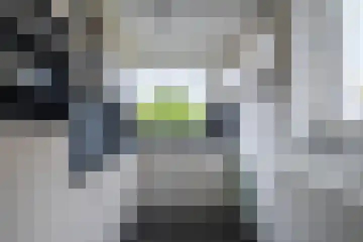 Banjopad 4 Duiven thumbnail 10