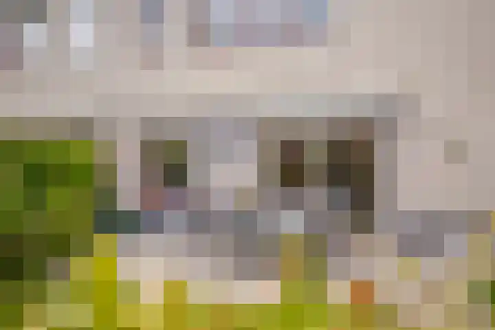 Banjopad 4 Duiven thumbnail 15