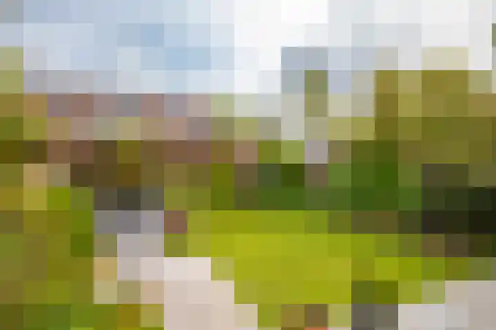 Banjopad 4 Duiven thumbnail 17
