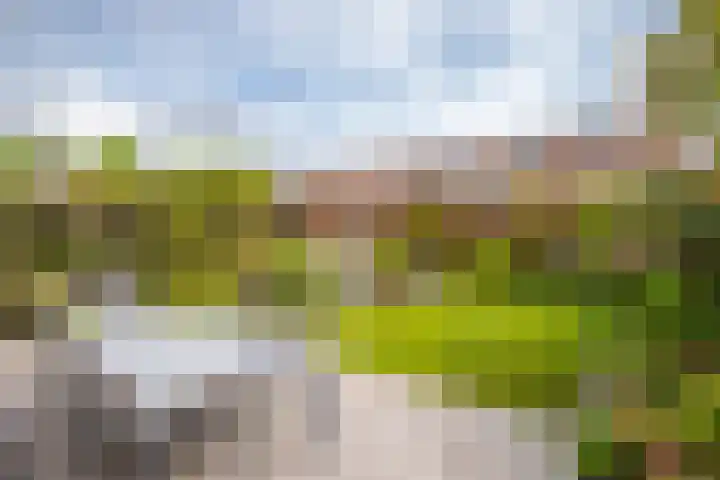 Banjopad 4 Duiven thumbnail 18