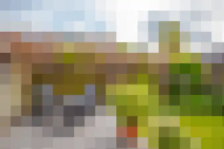 Banjopad 4 Duiven thumbnail 20