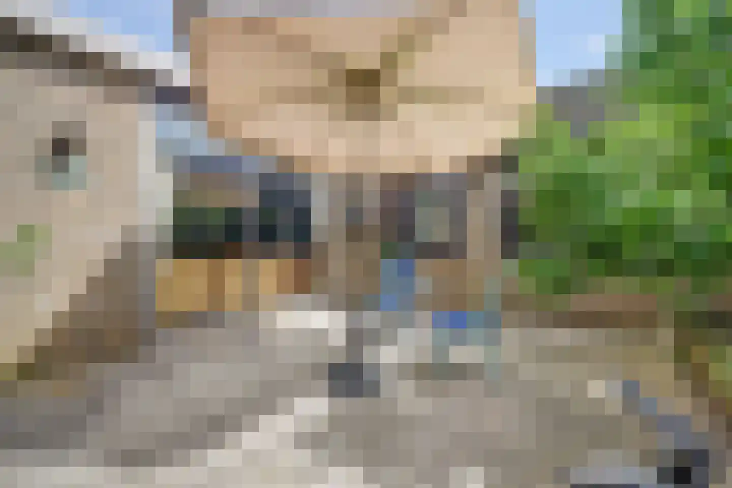 Banjopad 7 Spijkenisse thumbnail 19