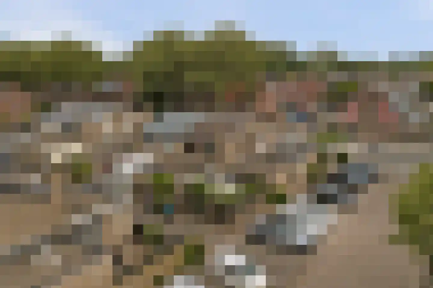 Banjopad 7 Spijkenisse thumbnail 23
