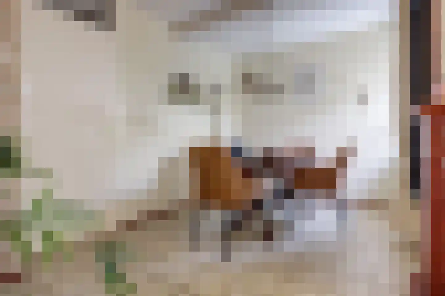 Banjopad 7 Spijkenisse thumbnail 6