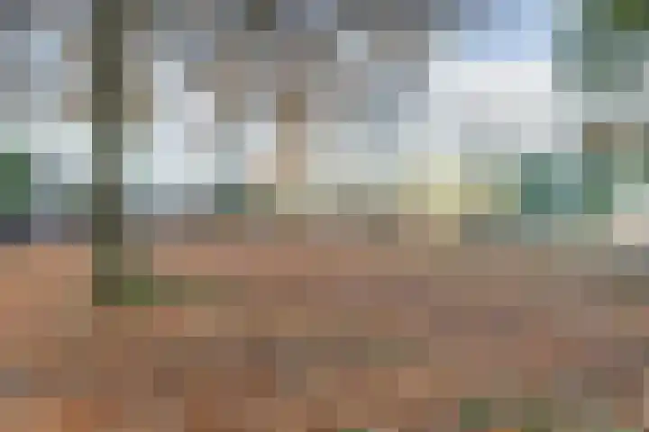 Banjostraat 1 Amersfoort thumbnail 33