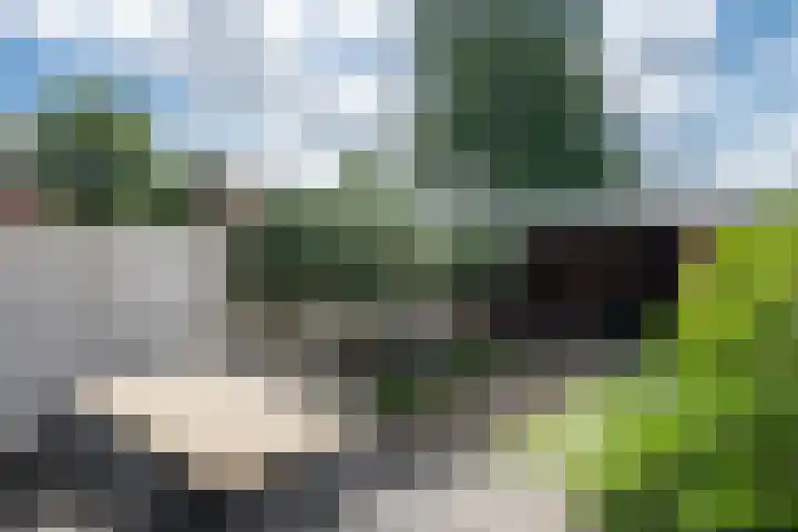 Banjostraat 15 Uden thumbnail 25