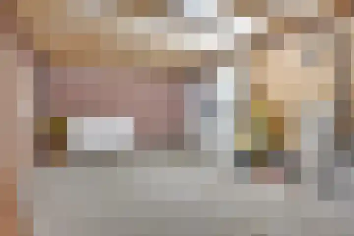 Banjostraat 15 Uden thumbnail 28