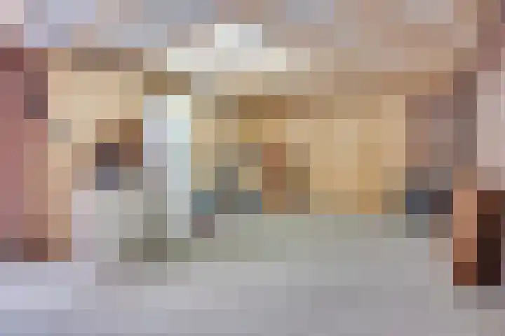 Banjostraat 15 Uden thumbnail 29