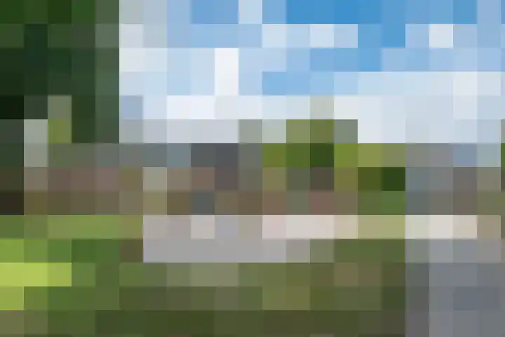 Banjostraat 15 Uden thumbnail 30