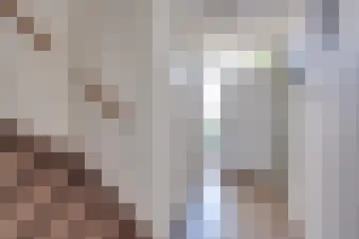 Banjostraat 15 Uden thumbnail 5