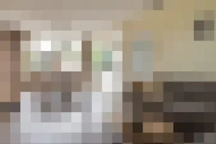 Banjostraat 15 Uden thumbnail 9