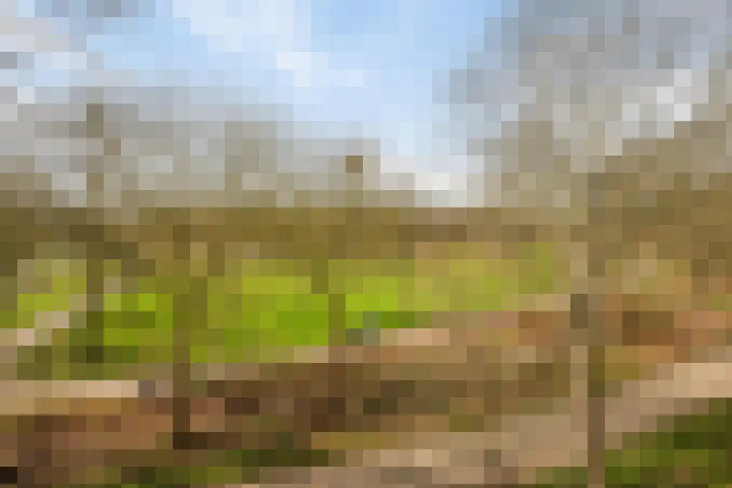 Banjostraat 21 Almere thumbnail 31