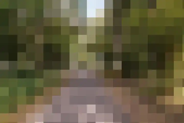 Banjostraat 45 Almere thumbnail 30