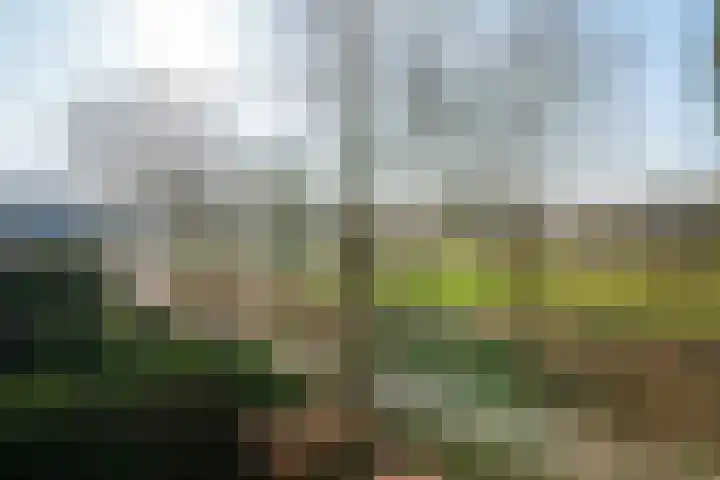 Banjostraat 47 Almere thumbnail 22